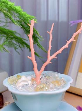 天然台湾莫莫珊瑚树摆件尺寸128.2x100.6mm原色momo阿卡粉色颂