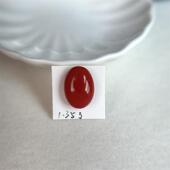 天然阿卡珊瑚椭圆形蛋面1.35g原色有机宝石沙丁牛血红科西嘉速