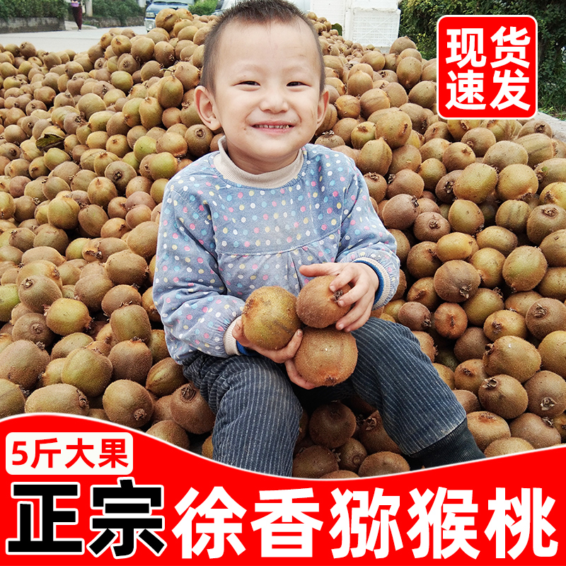 陕西眉县徐香猕猴桃水果新鲜当季整箱5斤正宗大弥猴桃绿心奇异果