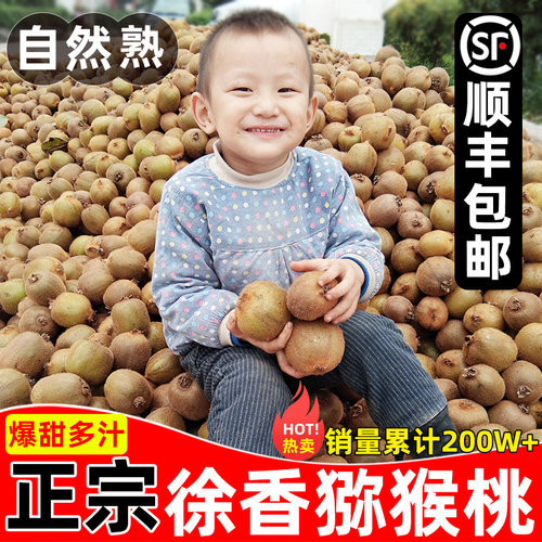 热卖200万+徐香猕猴桃•假一罚十