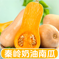奶油南瓜粗粮宝宝辅食面小南瓜婴儿甜粉糯辅食时令新鲜蔬菜整箱