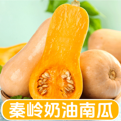 奶油南瓜粗粮宝宝辅食面小南瓜婴儿甜粉糯辅食时令新鲜蔬菜整箱