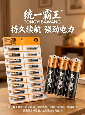统一霸王5号碳性干电池40节