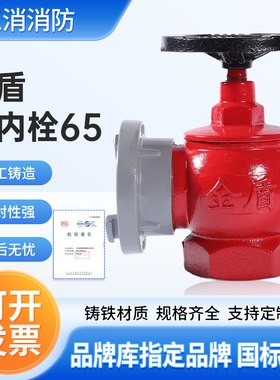 金盾室内栓SN65消防栓防三铜旋转减压稳压栓金盾SNW65-I