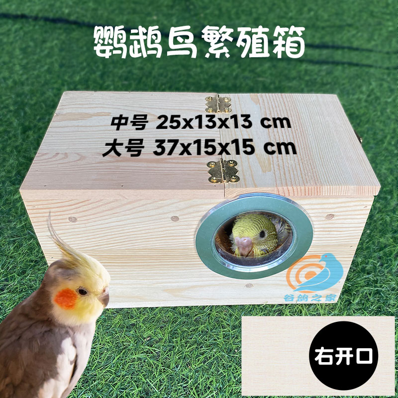鹦鹉繁殖箱文鸟珍珠鸟育雏箱