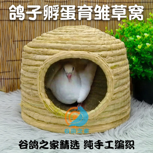 城堡草窝家用草编鸽子窝孵蛋专用巢窝鹦鹉睡觉窝冬天保暖斑鸠鸟巢
