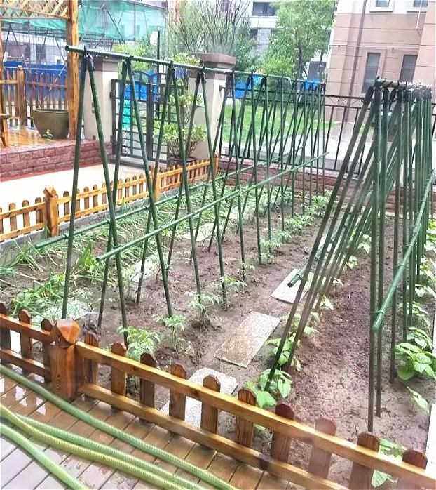 树木树苗架杆防风木头架木质塑料固定器支架套杯绑带支架支撑塑料|msdalam kategori penghantaran bunga/bunga simulasi/tumbuhan berkebun, Gardening Supplies, Peralatan Perkebunan lain - dari Buy2taobao.com untuk memberikan perkhidmatan ejen Taobao profesional membeli