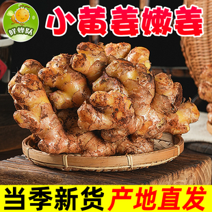 【所有女生直播间】鲜蜂队云南小黄姜新鲜姜块带泥土发货生姜