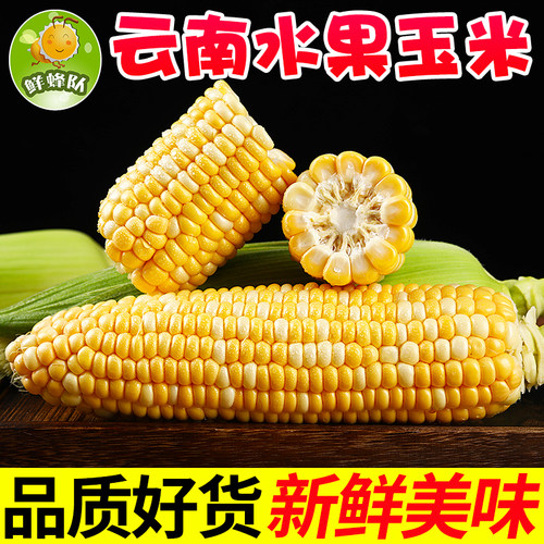 云南特产新鲜水果玉米鲜蜂队