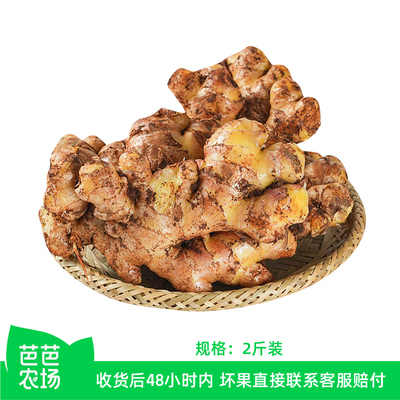 【芭芭农场兑换专享】云南小黄姜2斤