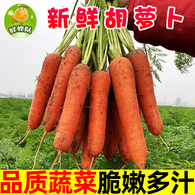 新鲜胡萝卜农家自种胡萝新鲜蔬菜胡萝卜清甜脆口3/4.5斤