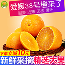 包邮 鲜蜂队四川眉山38号爱媛果冻橙酸甜橙子新鲜应季 水果果冻橙