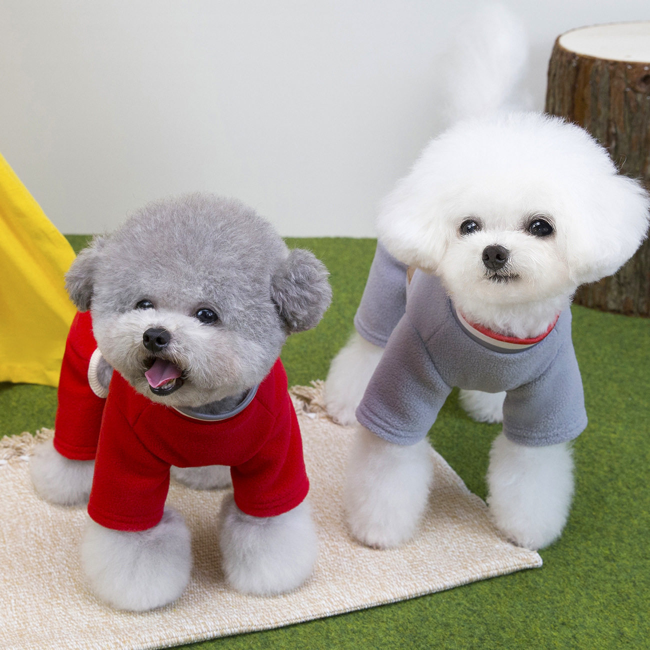 狗狗衣服秋冬装泰迪比熊