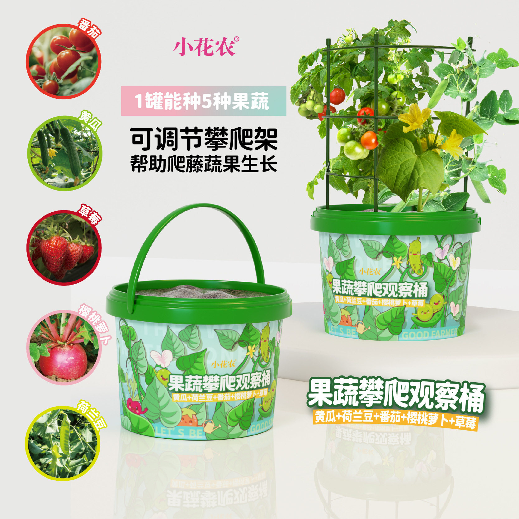 植物攀爬观察桶桌面一件