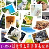 6寸高清手机照片冲洗相片晒塑封 拍立得洗照片冲印照片打印3