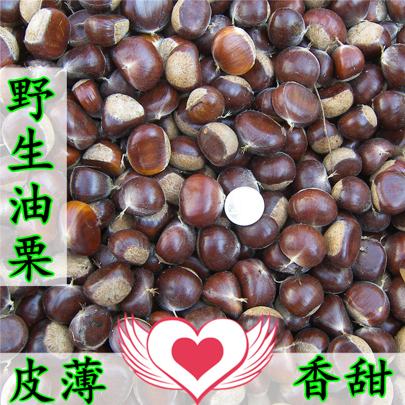 北京2025新鲜生板栗生新鲜特产农家野生小油栗子软糯甜小毛栗包邮