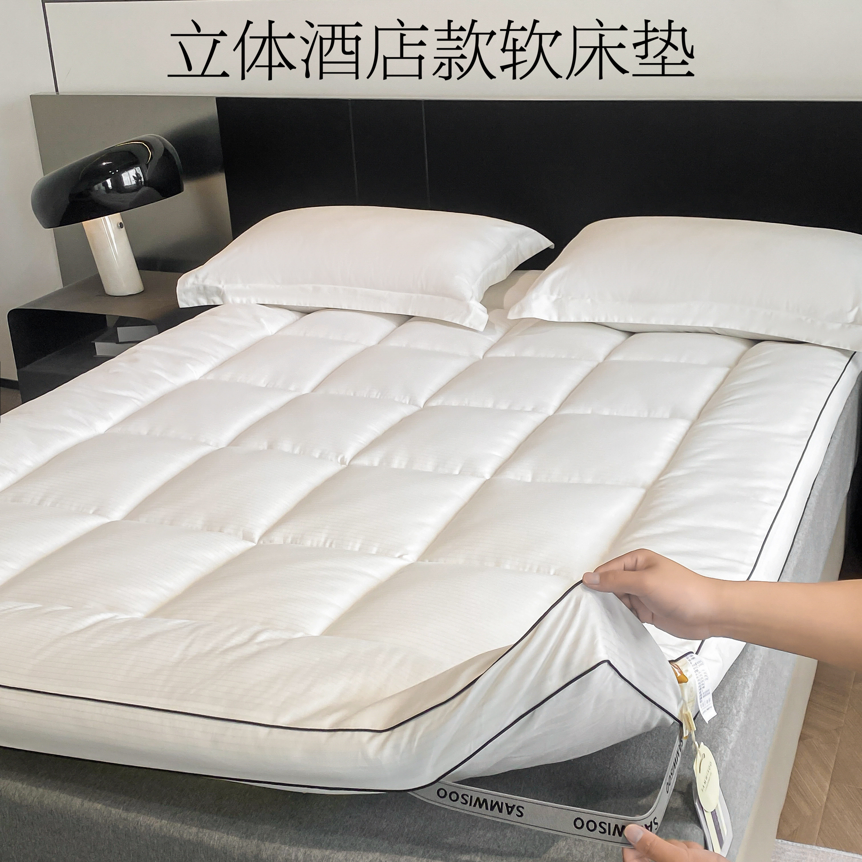五星级酒店3D立体软床垫 家用榻榻米宿舍柔软床垫子防滑加厚褥子