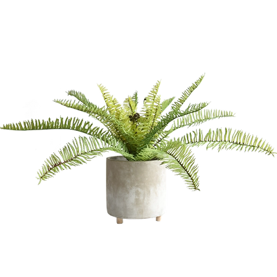 蕨类摆件电视柜室内装饰仿真植物