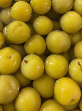 云南特产泡李子酸甜 纯酸新鲜水果腌制无添加孕妇零食酸水果包邮