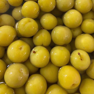 云南特产泡李子酸甜 纯酸新鲜水果腌制无添加孕妇零食酸水果包邮