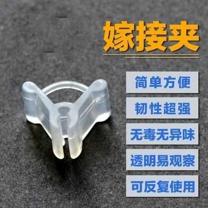 果树嫁接夹温室新款果穗园艺瓜果老款盆景结构软管夹子小巧软性绑在类目 鲜花速递/花卉仿真/绿植园艺, 园艺用品, 其它园艺用品中 - 来自Buy2taobao.com提供专业的淘宝代购服务