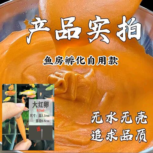 冰冻丰年虾幼虫 孔雀鱼幼鱼开口 小型热带鱼专用鱼食 无菌不浑水