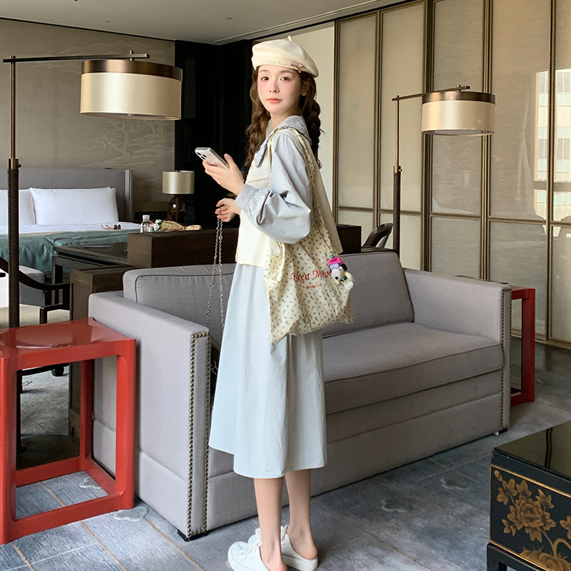 【新款现货】蓝色两件套连衣裙102-210-P145-K198,女装连衣裙,浙宝102（原188）