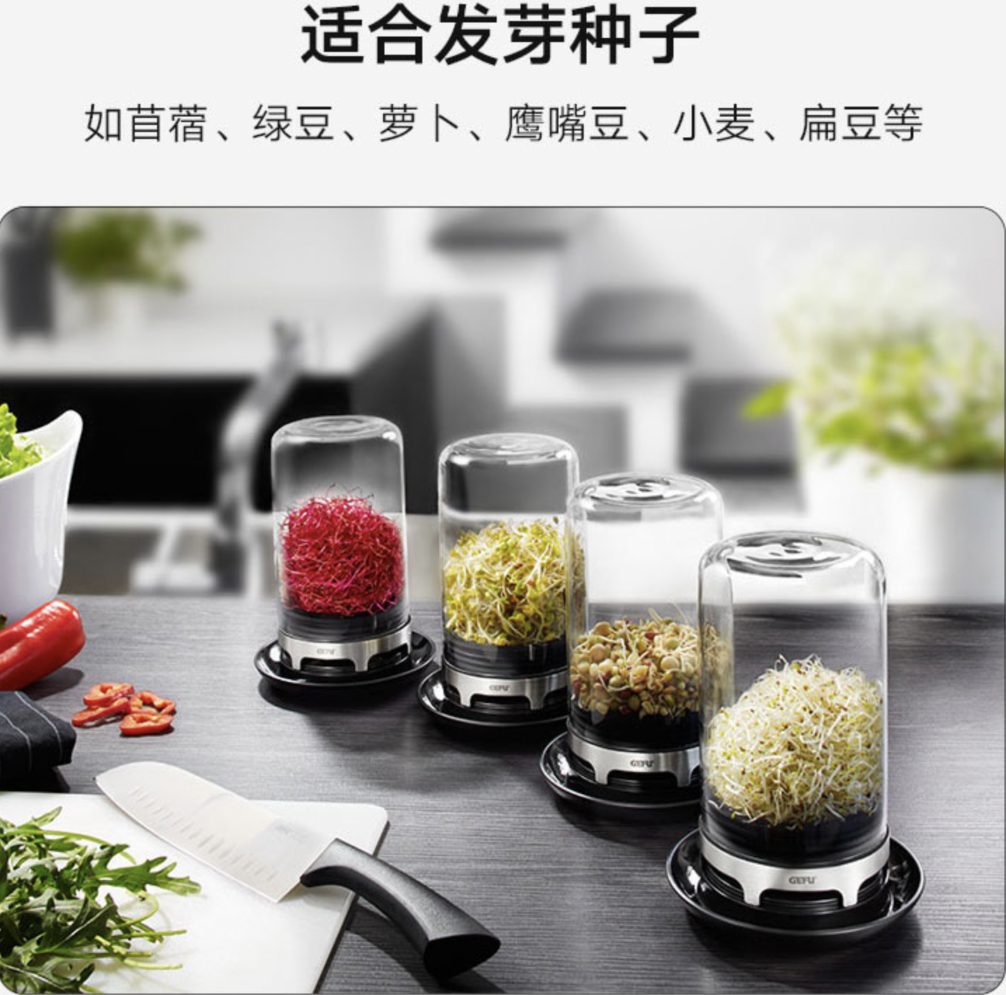 豆芽机GEFU德国家用发芽器