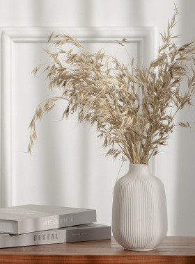 陶瓷花瓶简约欧式白色条纹素烧干花瓶家居装饰工艺品摆件花瓶套装