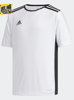 Adidas/阿迪达斯正品2020男大童ENTRADA 18 JSYY运动T恤 CF1044