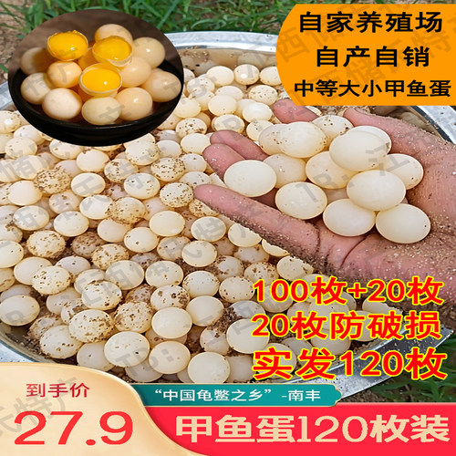 农家新鲜甲鱼蛋100枚送20枚