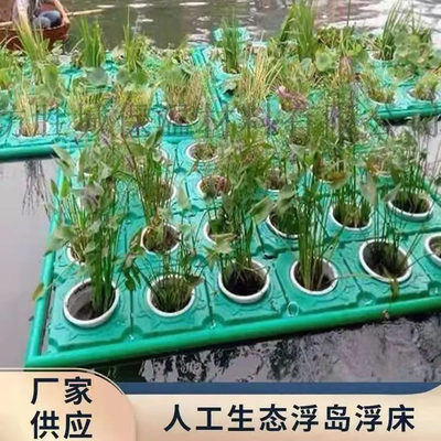 水上种植荷花盆浮床水上种植平台人工生态浮岛种植浮床造景浮岛板