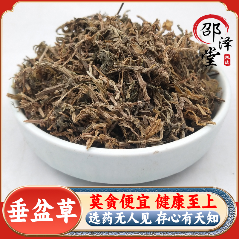 中药材野生垂盆草新鲜干货垂盆草无硫干垂盆草锤盆草500g克包邮