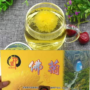 印象张家界特产 天门佛菊 天门山特产佛菊花蒂尔诗莱