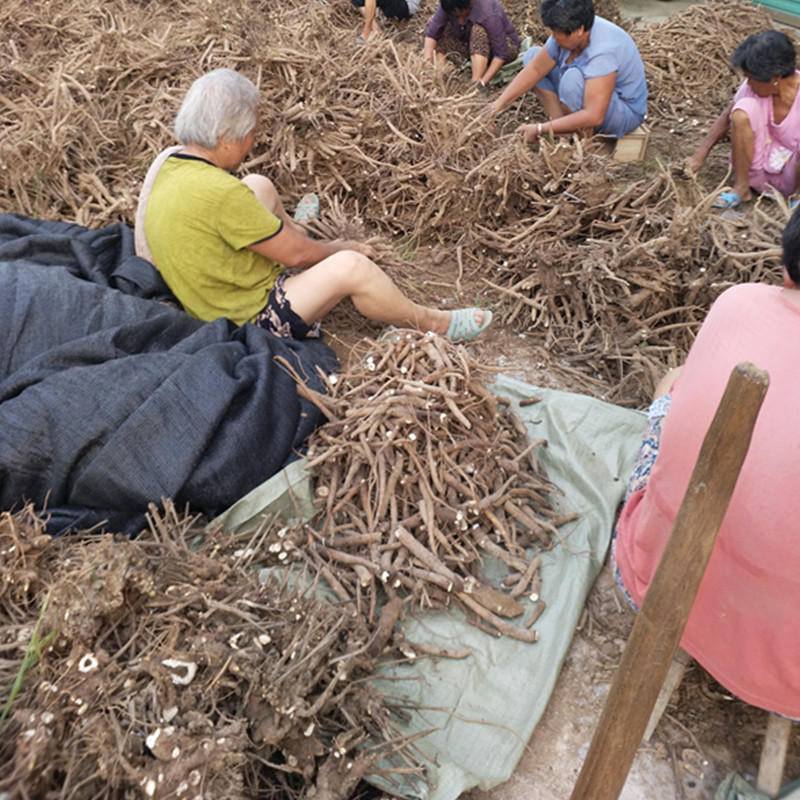 中药材白芍500g无硫原色农家芍药片当归川芎熟地四物汤原料生白术
