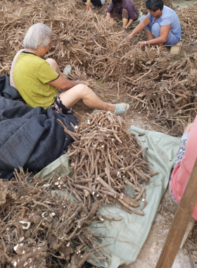 中药材白芍500g无硫原色农家芍药片当归川芎熟地四物汤原料生白术