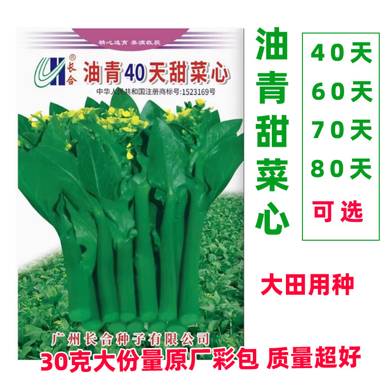 大包广东甜菜心种子秋冬四季油青菜苔耐热耐寒阳台盆栽大田蔬菜孑