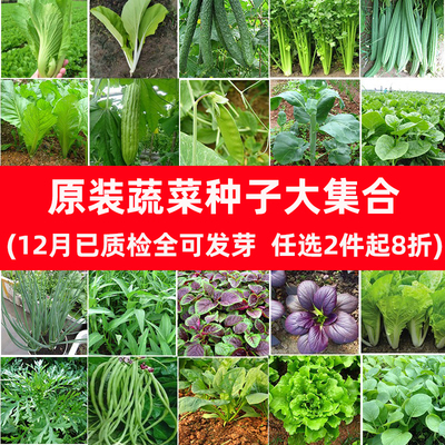 原装优质四季蔬菜种子大集合