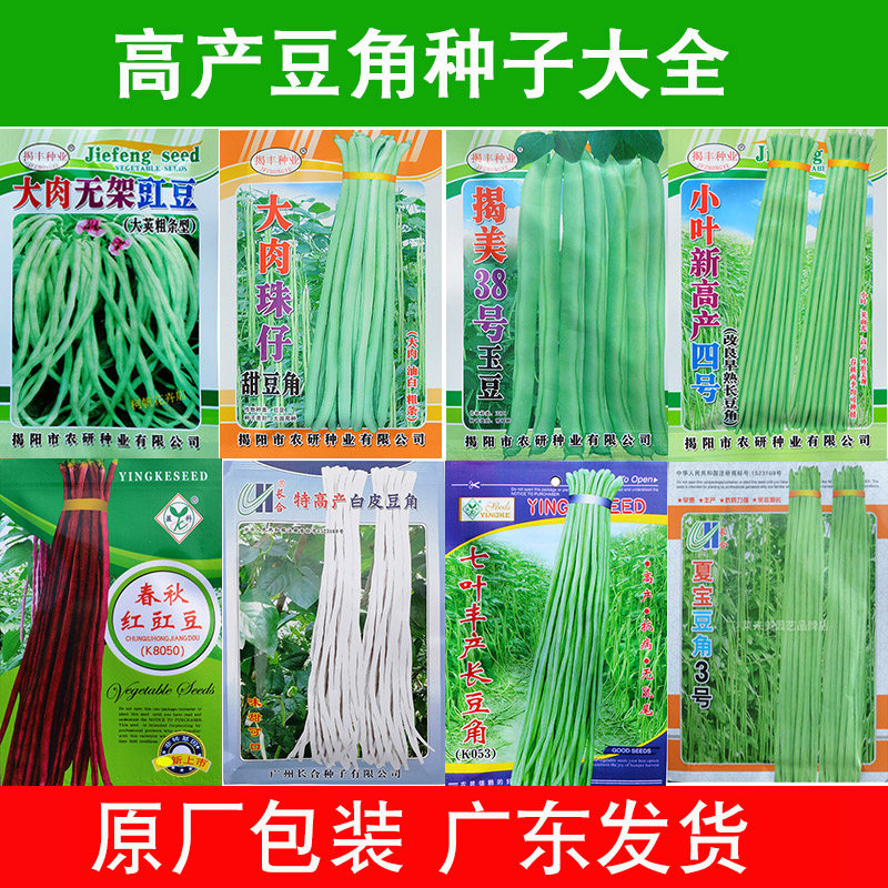豆角种籽大全小叶油青长无架白红高产豇豆新蔬菜种子孑春夏四季播