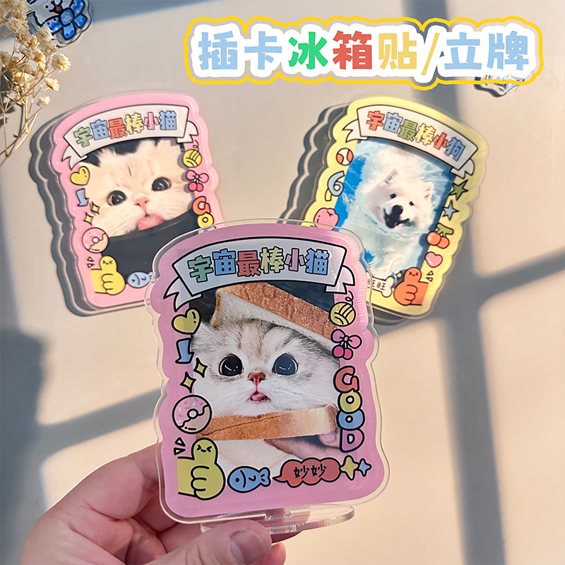 亚克力插卡立牌磁吸冰箱贴宠物照片展示大头拍立得可爱宇宙小猫狗