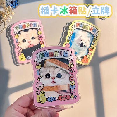 亚克力插卡立牌磁吸冰箱贴宠物照片展示大头拍立得可爱宇宙小猫狗