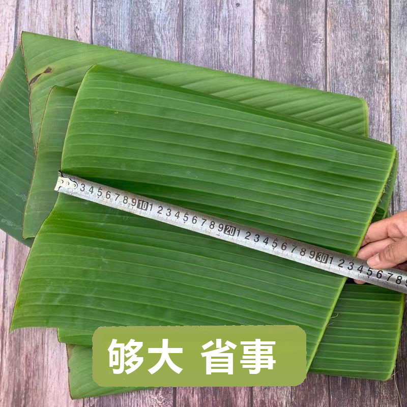 摆盘新鲜芭蕉叶烧烤巴蕉叶广东巴焦叶香蕉叶摆盘饭店餐厅蕉叶批发