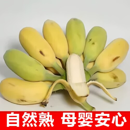 母婴放心吃自然熟米蕉甜糯本地蕉
