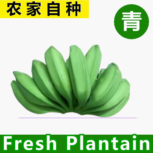 FreshPlantainGreenbanana
