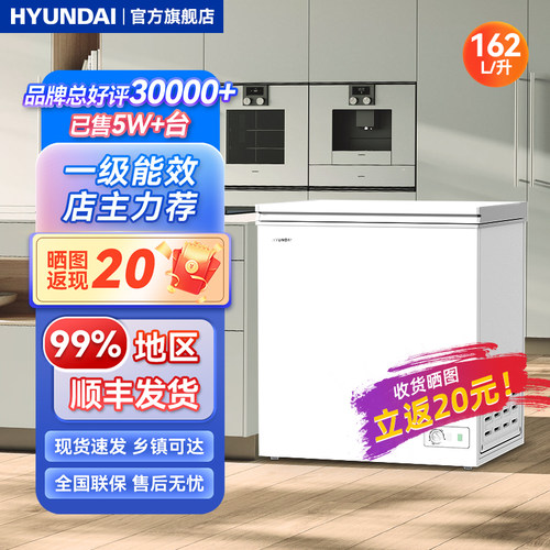 现代162L商用家用大冷柜