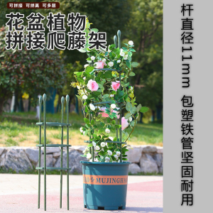 润土爬藤架高品质低价格