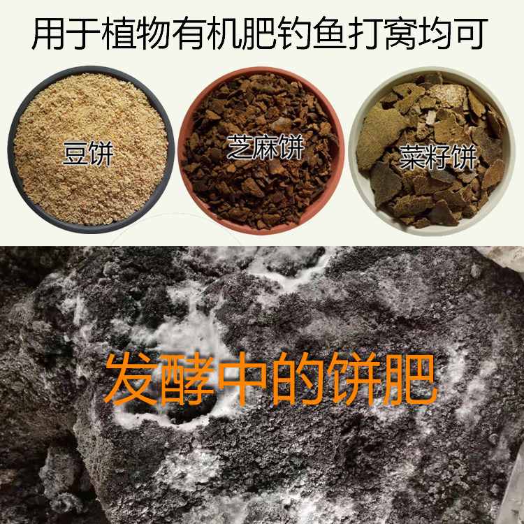 纯黄豆饼肥菜籽饼芝麻饼打窝钓鱼图片