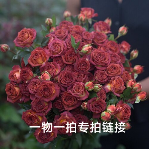 直播间一物一拍专拍 自行备注编号+品种 不备注不核对 没编号
