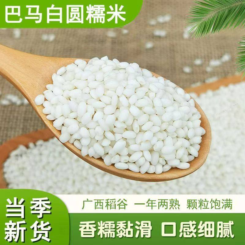 巴马白糯米2.5kg长粒圆粒糯米包粽子糯米饭江米甜米酒酿糍粑原料,粮油调味/速食/干货/烘焙,糯米,淘宝优惠券,粉丝福利购,淘宝优惠卷