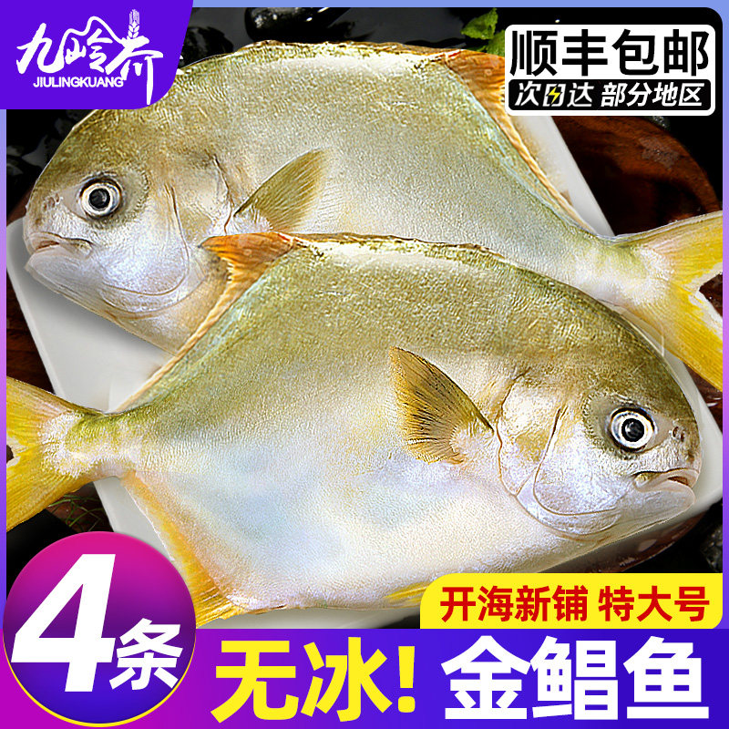 新货金鲳鱼新鲜镜鱼海鱼鲳鱼金昌鱼湛江海鲜水产鲜活冷冻顺丰包邮